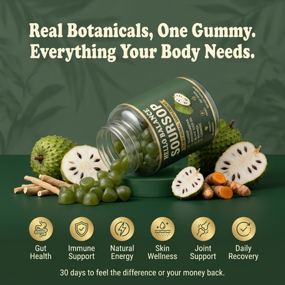 Real botanicals one gummy benefits icons